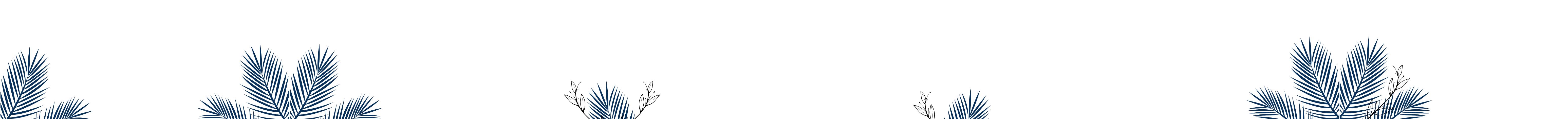 BBT
